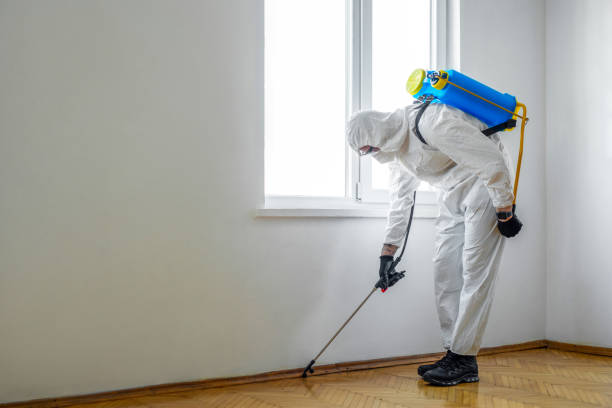 Best Pest Control Near Me in Ballard, UT